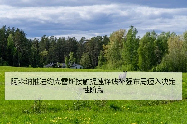 阿森纳推进约克雷斯接触提速锋线补强布局迈入决定性阶段